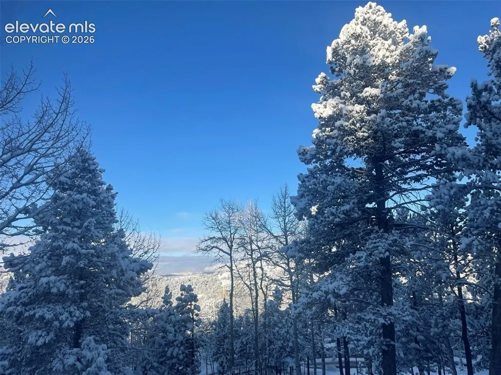 1122 Bennett Drive Cripple Creek, CO 80813