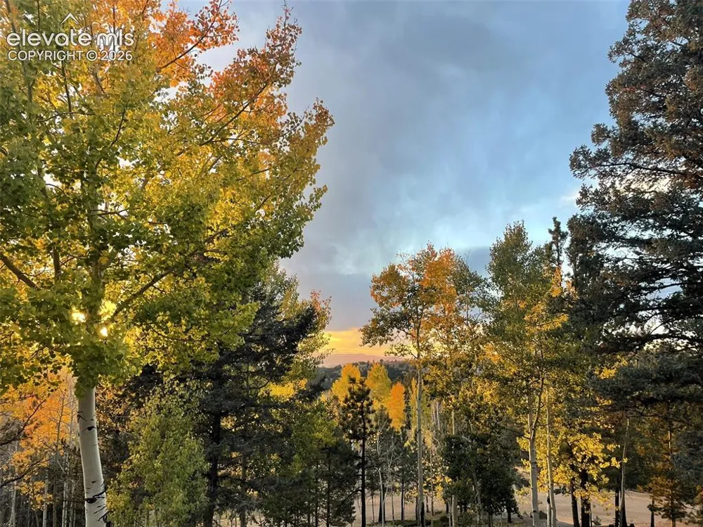 1122 Bennett Drive Cripple Creek, CO 80813