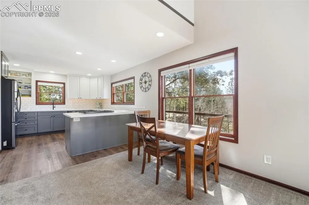 164 Aspen Circle Divide, CO 80814