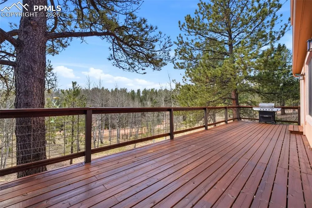 164 Aspen Circle Divide, CO 80814