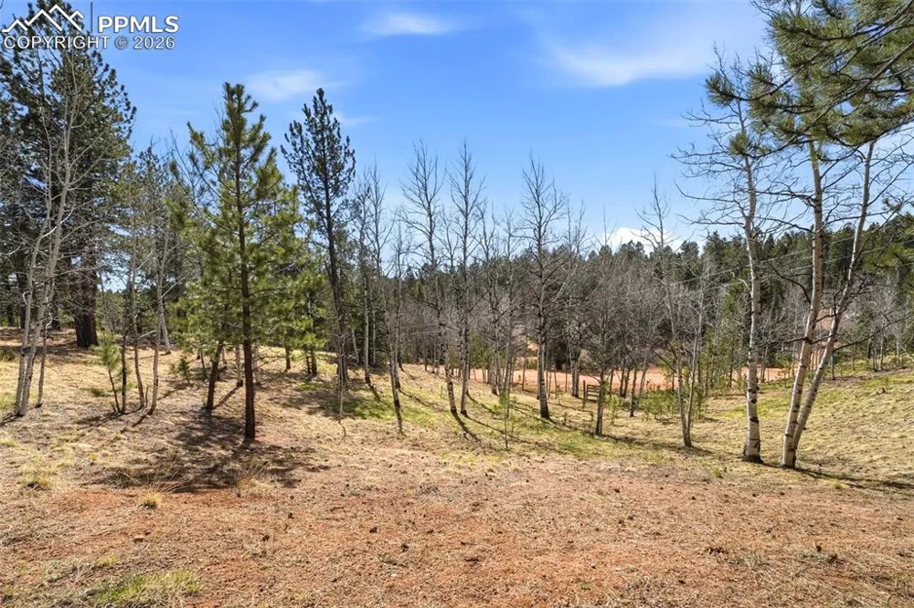 164 Aspen Circle Divide, CO 80814