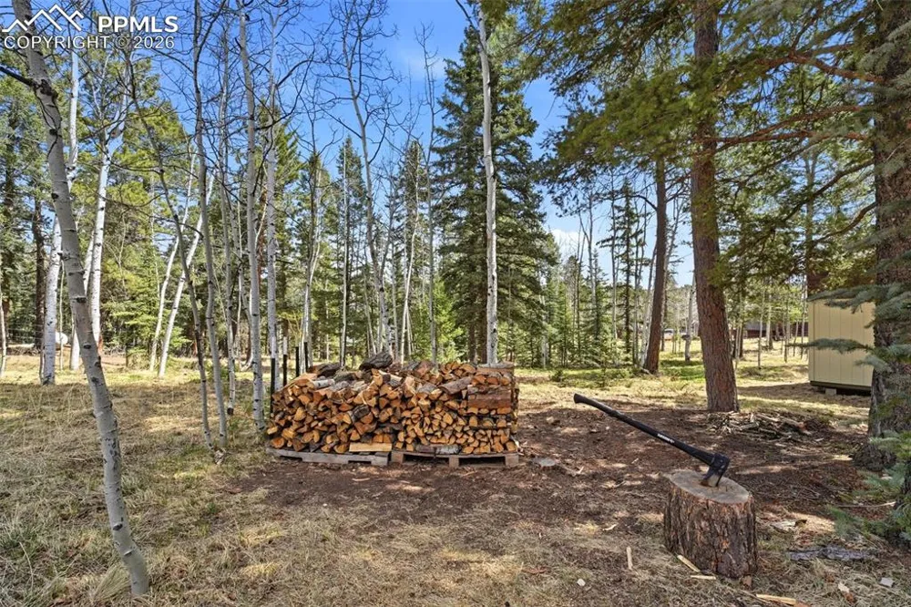 164 Aspen Circle Divide, CO 80814
