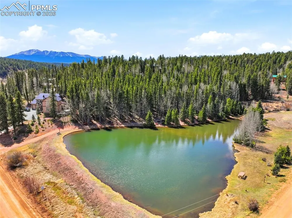 164 Aspen Circle Divide, CO 80814
