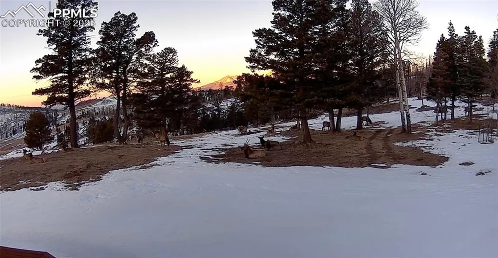 450 Schierl Road Fort Garland, CO 81133