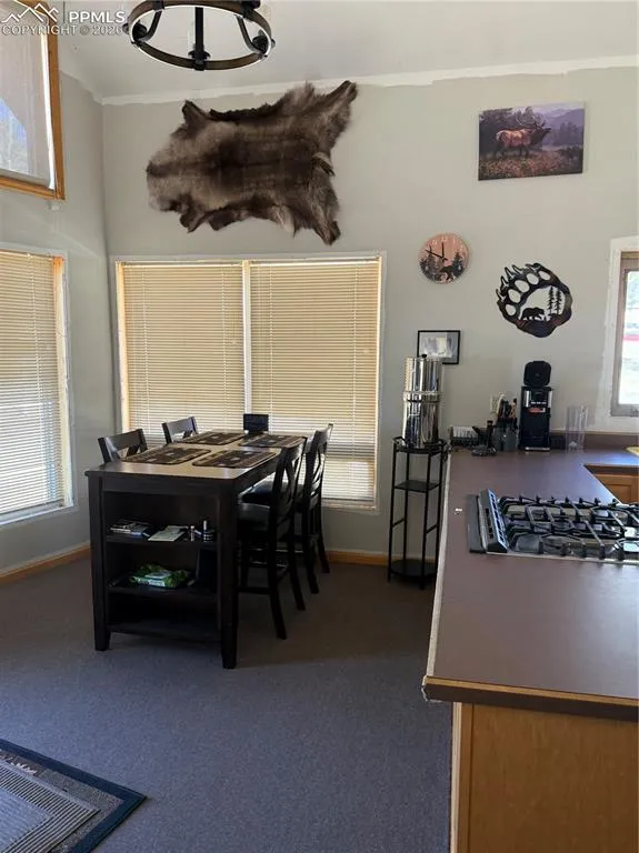 450 Schierl Road Fort Garland, CO 81133