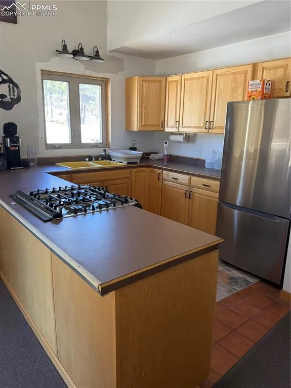 450 Schierl Road Fort Garland, CO 81133