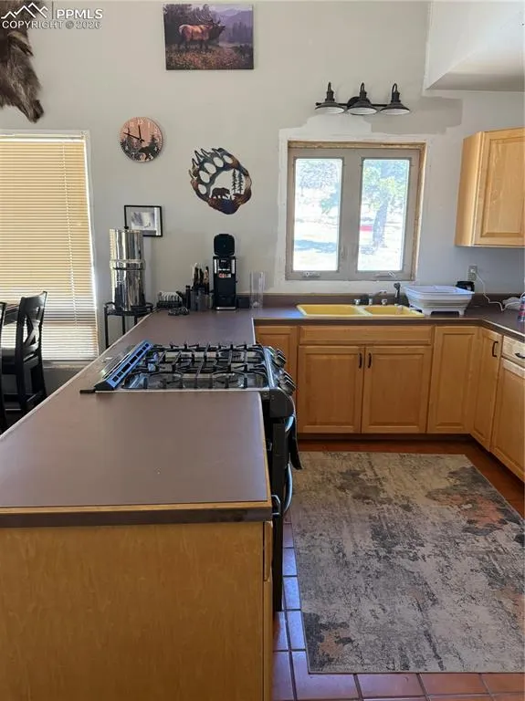 450 Schierl Road Fort Garland, CO 81133