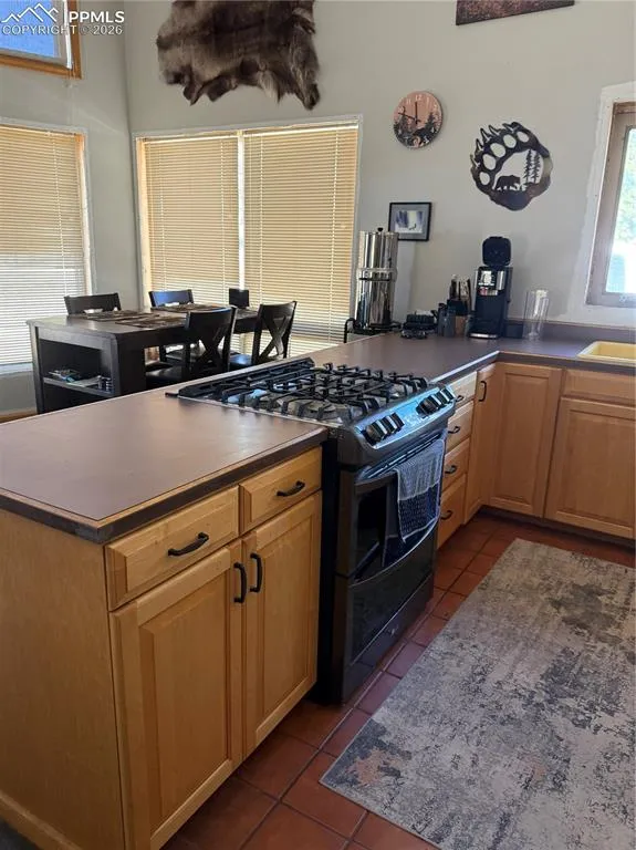 450 Schierl Road Fort Garland, CO 81133