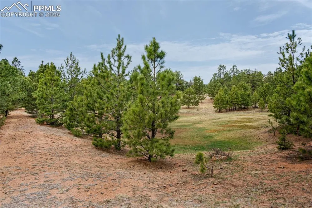 Unknown Penrose, CO 81240