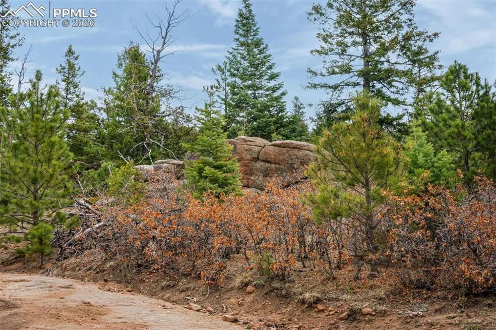 Unknown Penrose, CO 81240