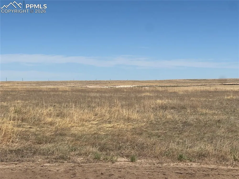 7828 Benito Wells Trail Peyton, CO 80831