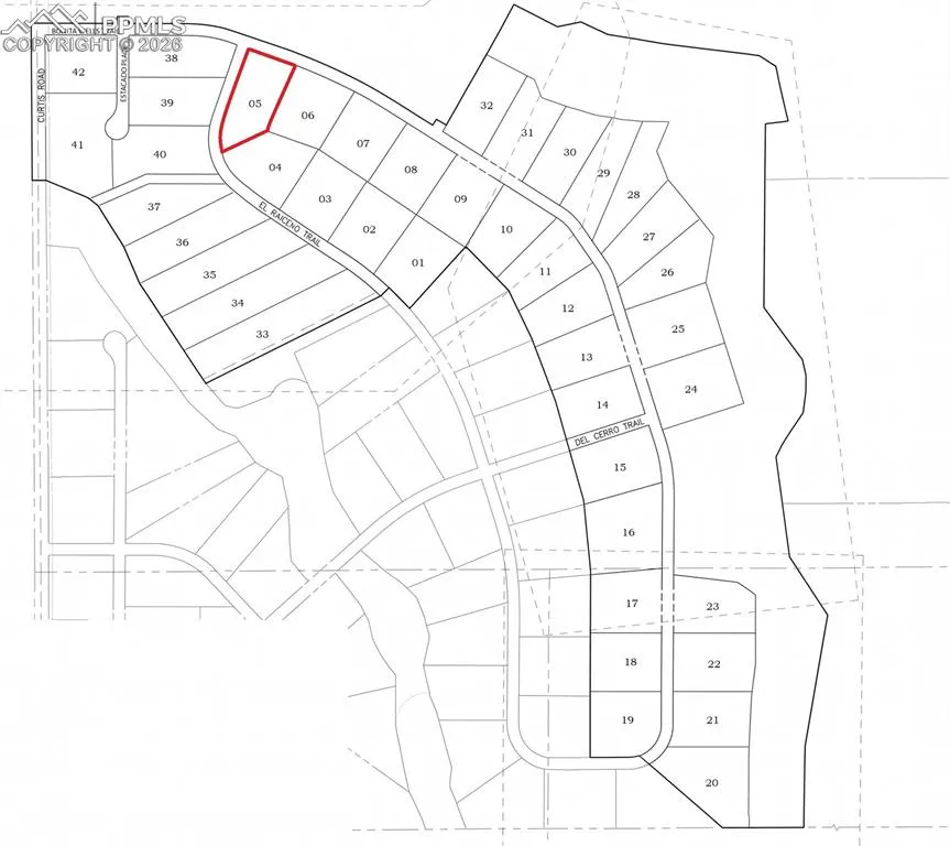 7828 Benito Wells Trail Peyton, CO 80831