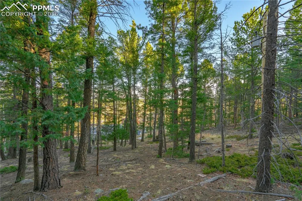 88 Malmsey Lane Divide, CO 80814