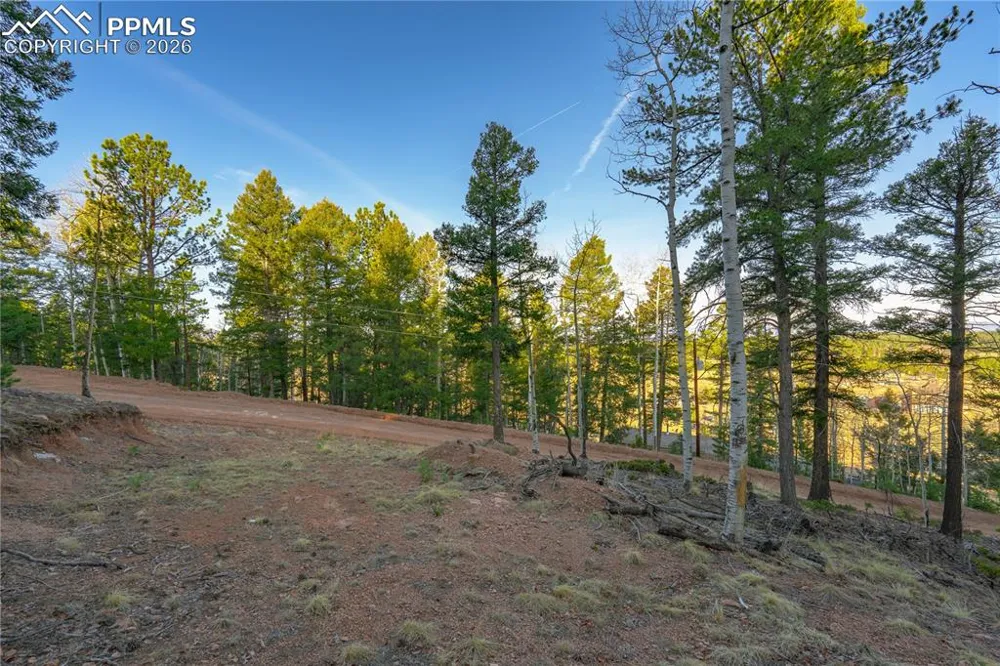 88 Malmsey Lane Divide, CO 80814