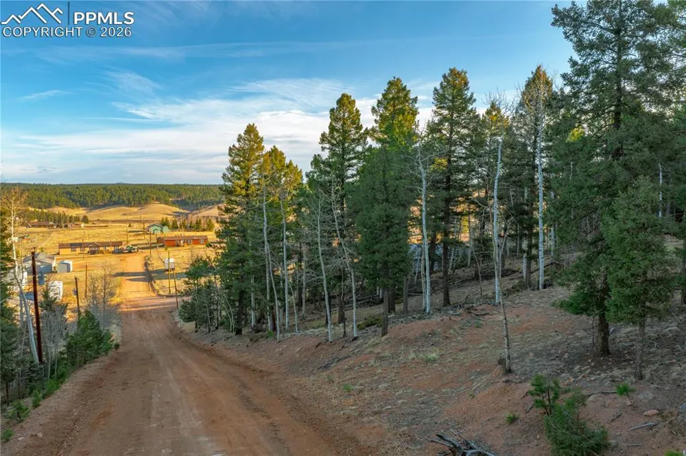 88 Malmsey Lane Divide, CO 80814
