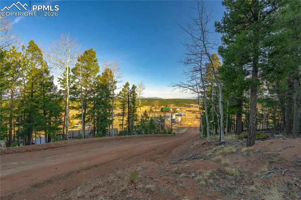 88 Malmsey Lane Divide, CO 80814