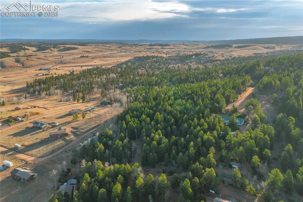 88 Malmsey Lane Divide, CO 80814