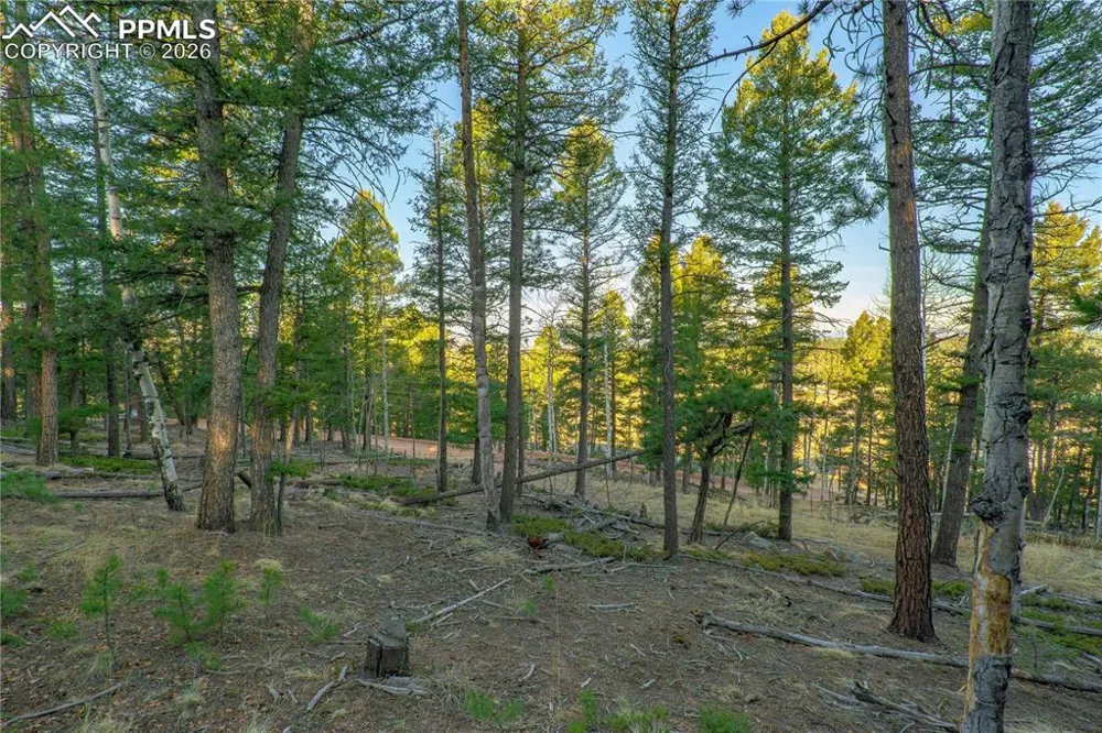 88 Malmsey Lane Divide, CO 80814
