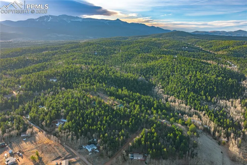88 Malmsey Lane Divide, CO 80814