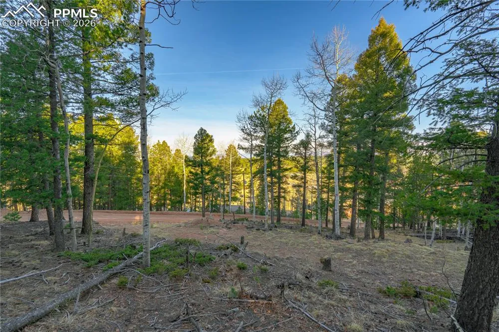 88 Malmsey Lane Divide, CO 80814