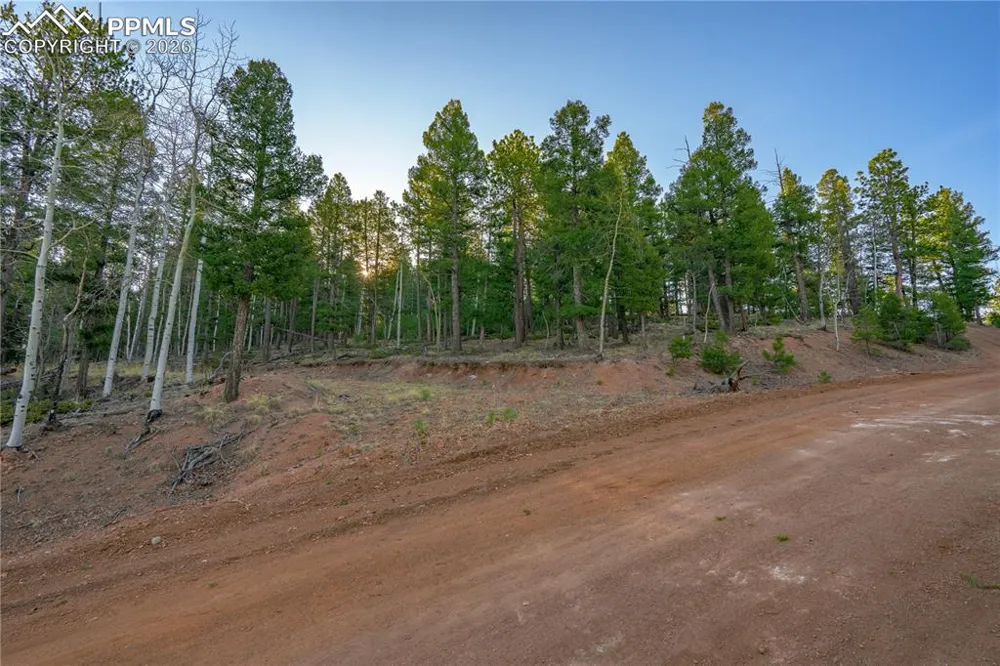 88 Malmsey Lane Divide, CO 80814