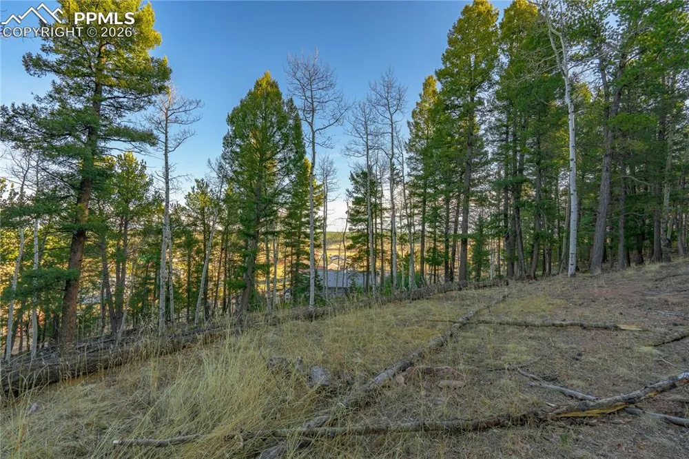 88 Malmsey Lane Divide, CO 80814