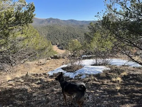 Lot 17 S Dunn Drive