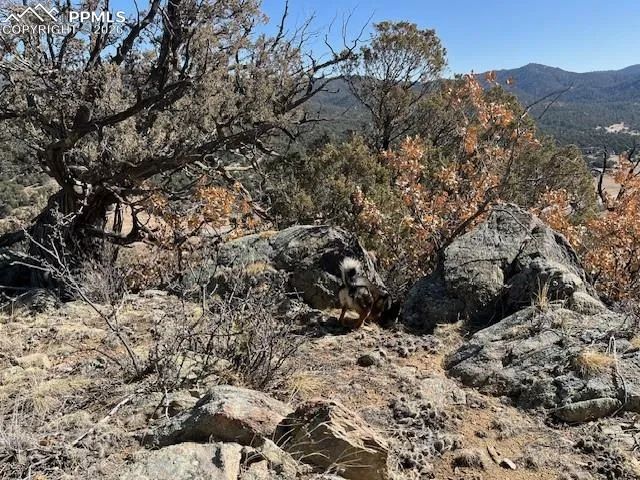 Lot 17 S Dunn Drive Canon City, CO 81212