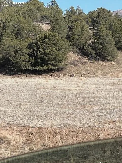 Lot 17 S Dunn Drive Canon City, CO 81212