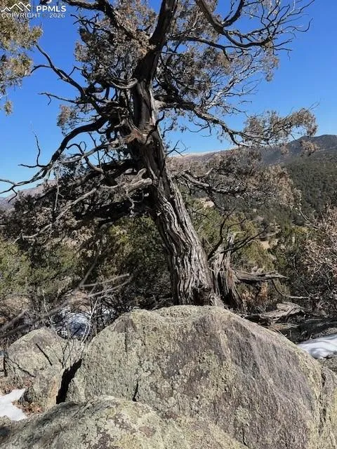 Lot 17 S Dunn Drive Canon City, CO 81212