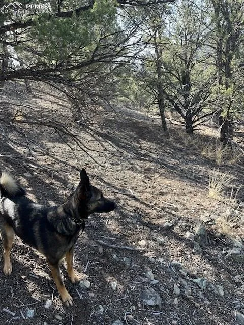 Lot 17 S Dunn Drive Canon City, CO 81212