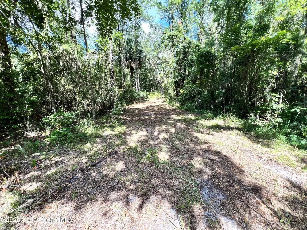 12394143 County Road 309 Crescent City, FL 32112