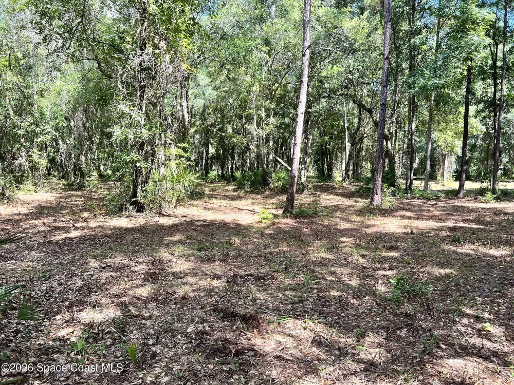 12394143 County Road 309 Crescent City, FL 32112