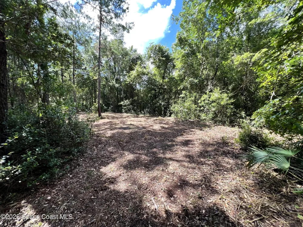 12394143 County Road 309 Crescent City, FL 32112