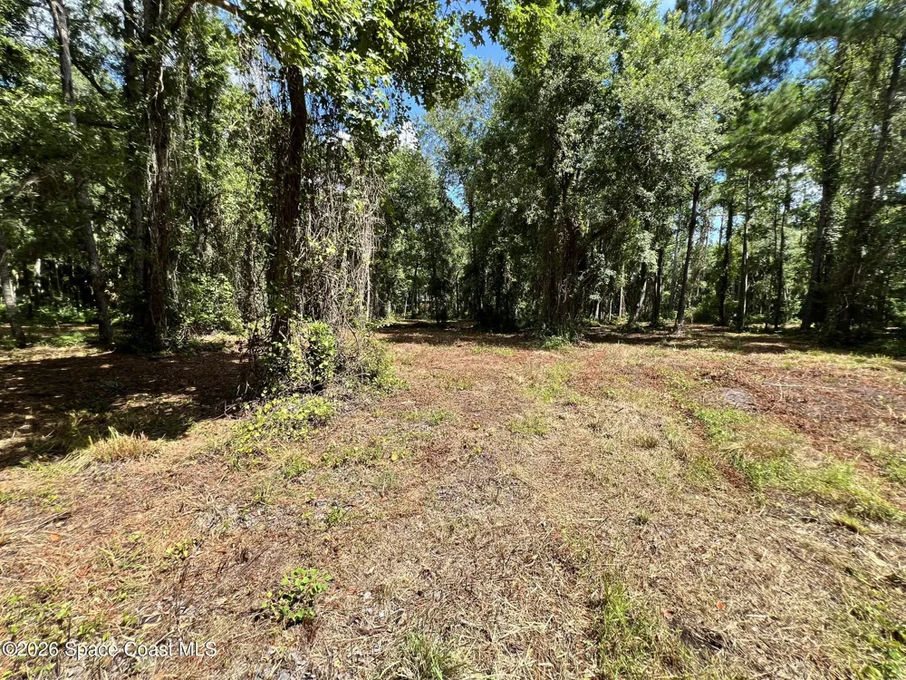12394143 County Road 309 Crescent City, FL 32112