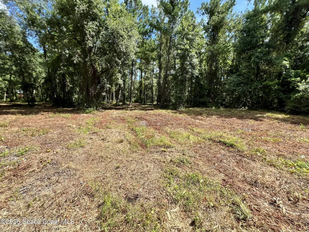 12394143 County Road 309 Crescent City, FL 32112