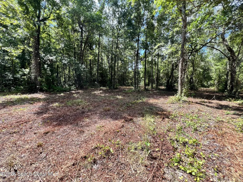 12394143 County Road 309 Crescent City, FL 32112