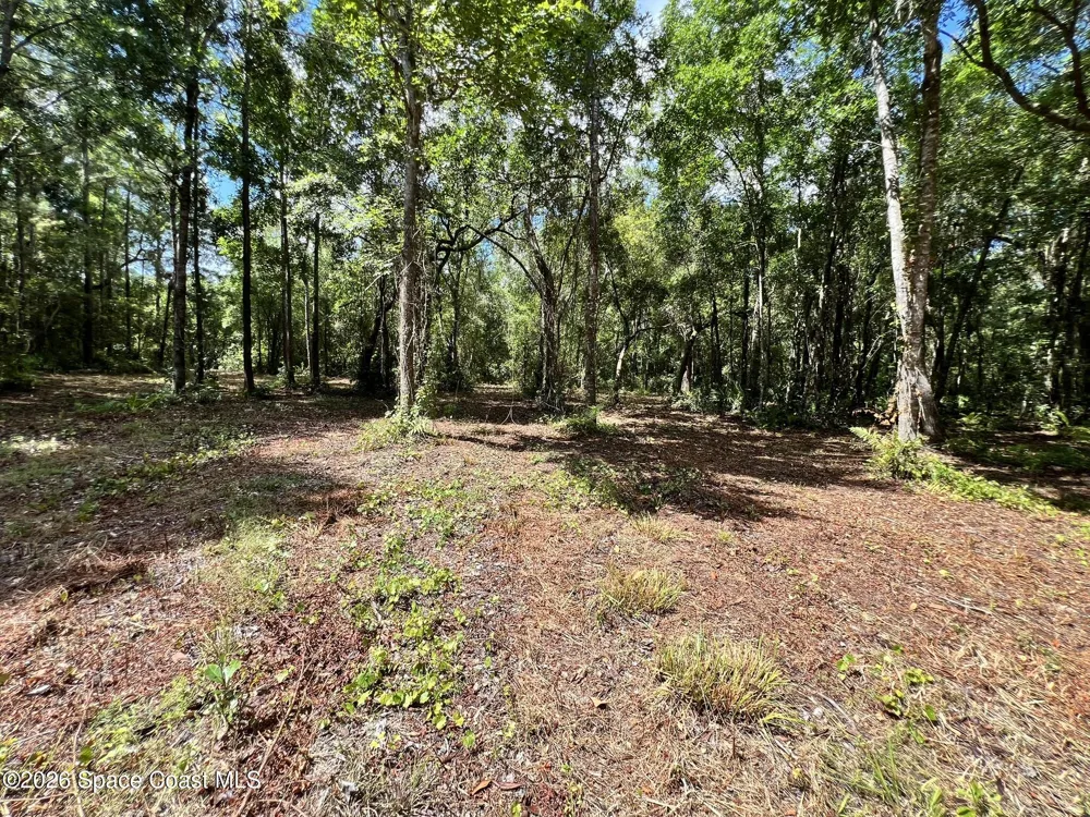 12394143 County Road 309 Crescent City, FL 32112