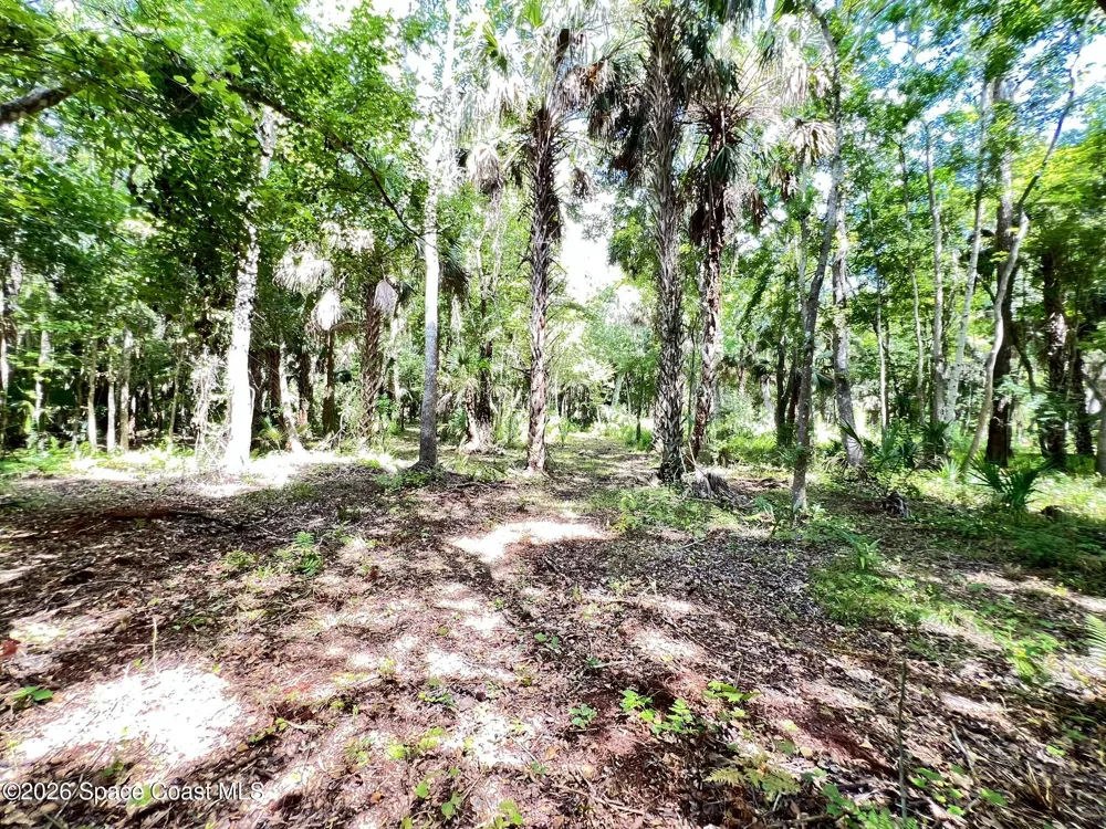 12394143 County Road 309 Crescent City, FL 32112