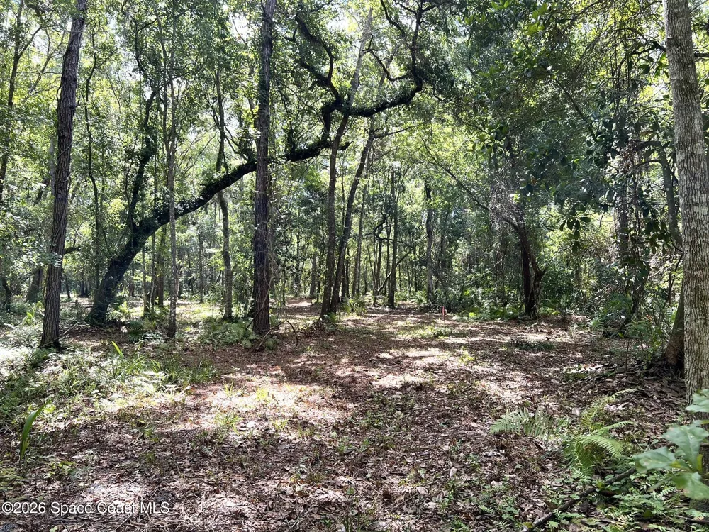 12394143 County Road 309 Crescent City, FL 32112