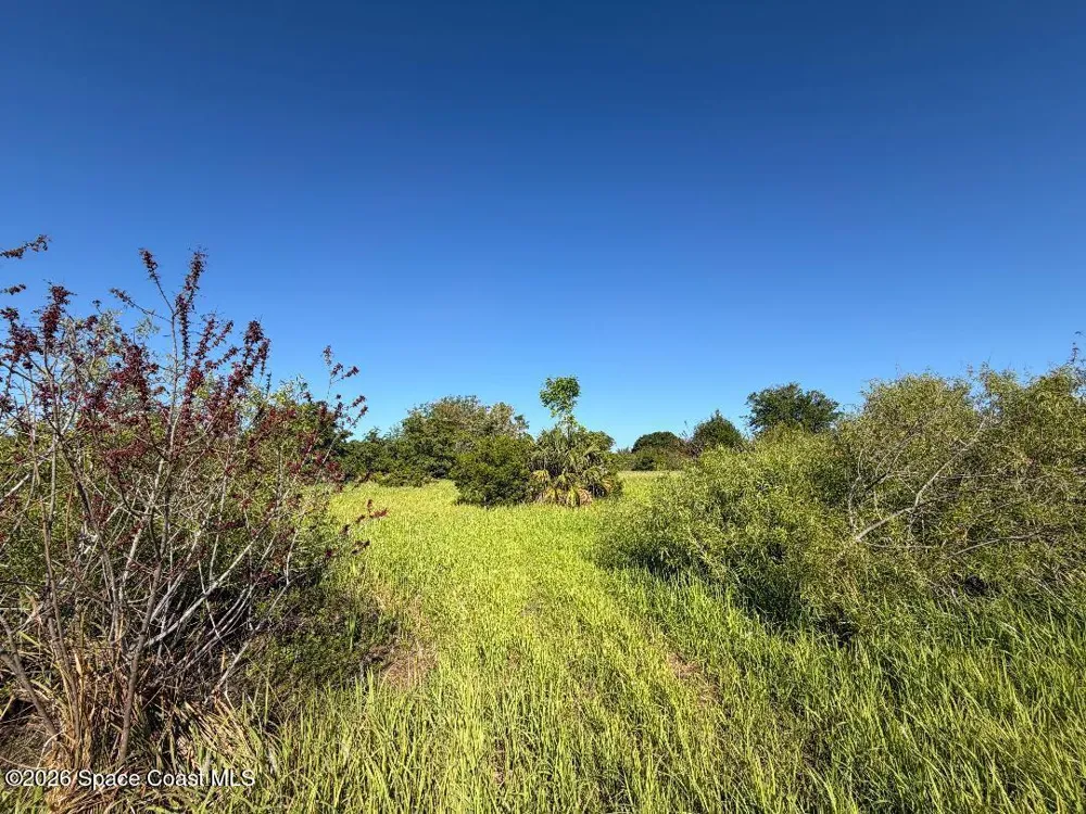 3852 Serenity Lane Mims, FL 32754