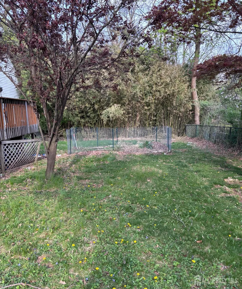 211 S 11 AVENUE #2 Highland Park, NJ 08904