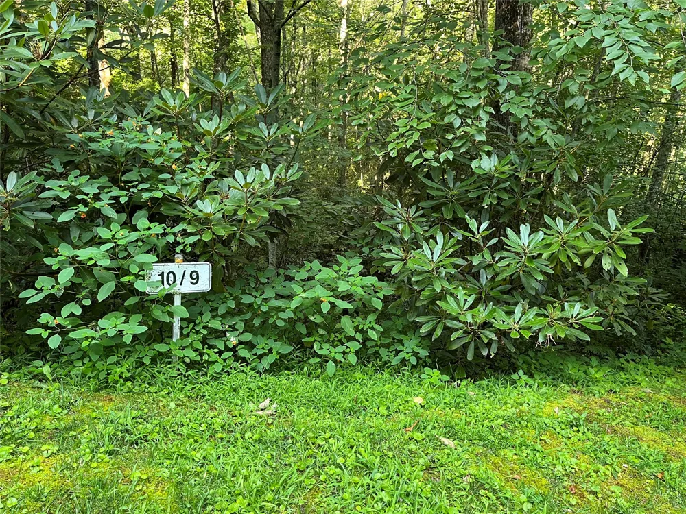 9 Old Forester Trail Cullowhee, NC 28723