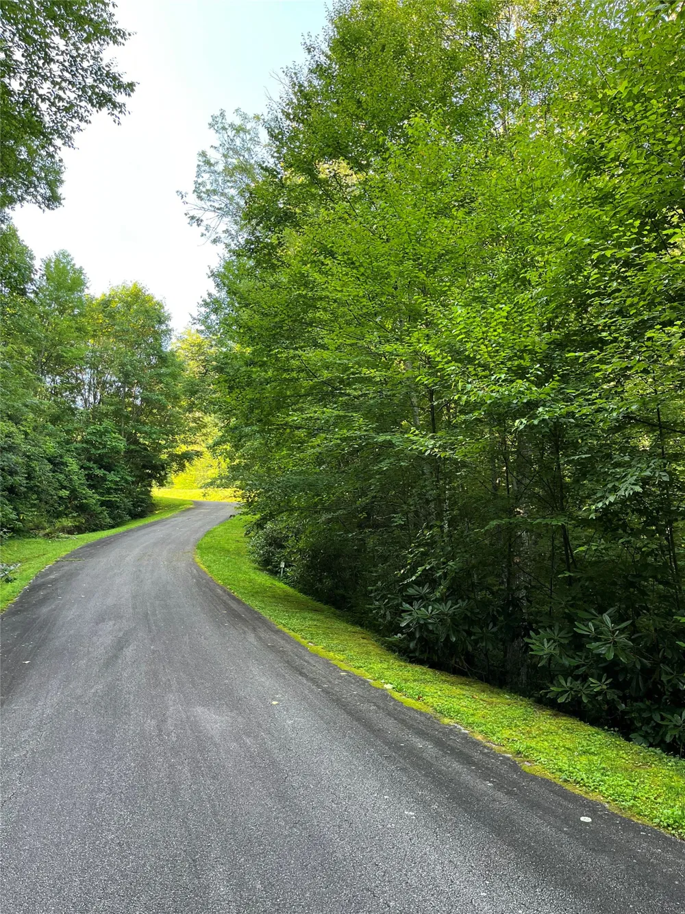 9 Old Forester Trail Cullowhee, NC 28723