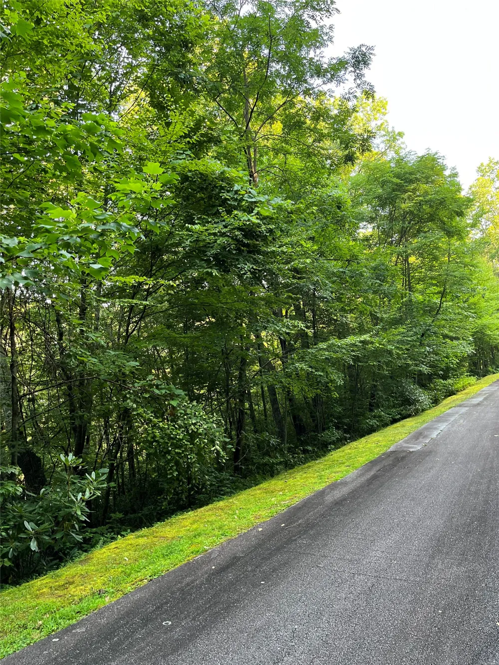 9 Old Forester Trail Cullowhee, NC 28723