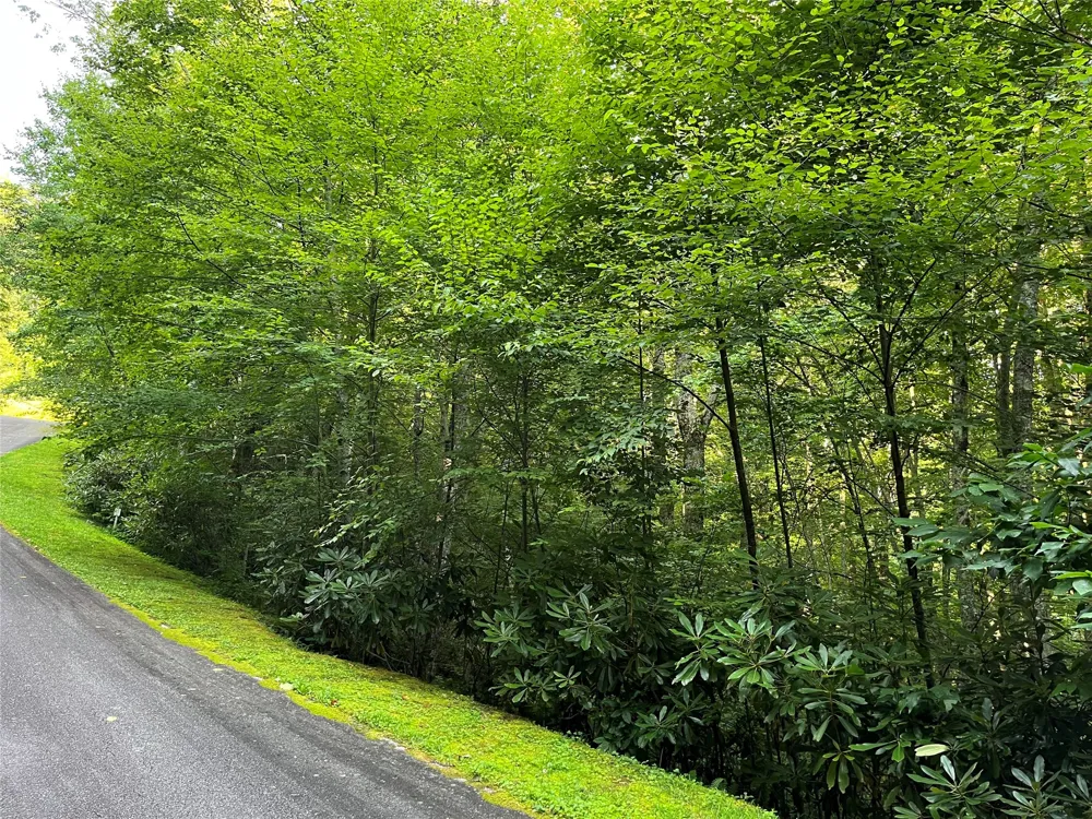 9 Old Forester Trail Cullowhee, NC 28723