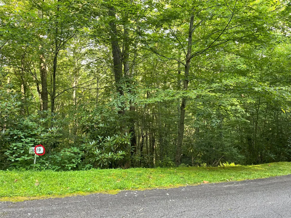 9 Old Forester Trail Cullowhee, NC 28723