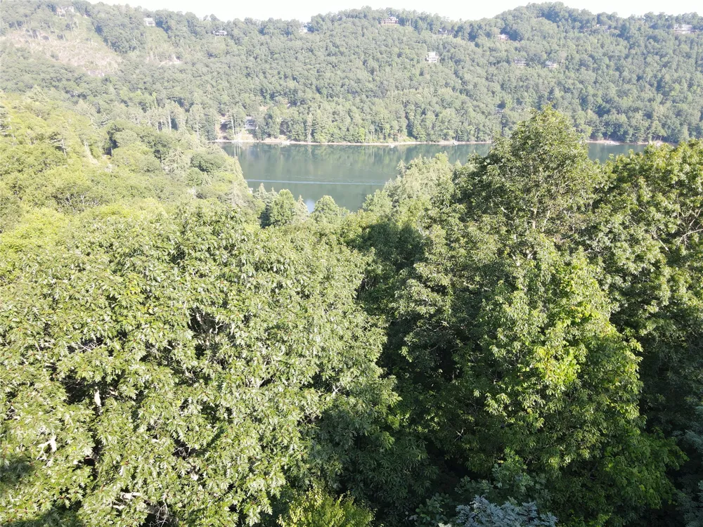 9 Old Forester Trail Cullowhee, NC 28723