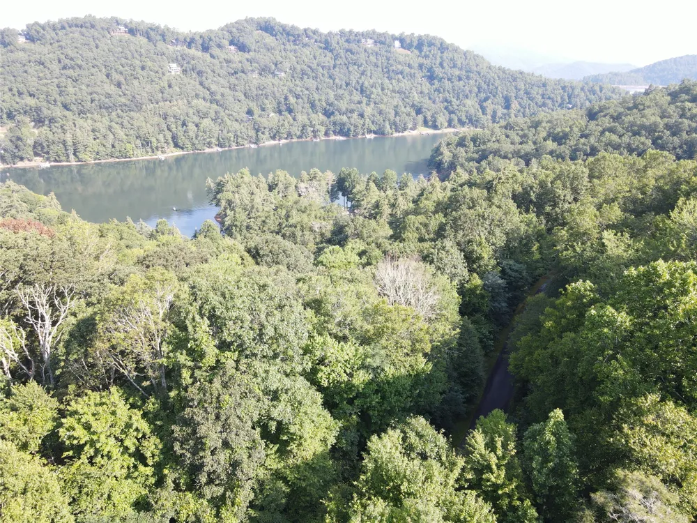 9 Old Forester Trail Cullowhee, NC 28723