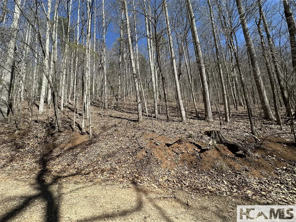 Lot 7 Eagle Point Franklin, NC 28734